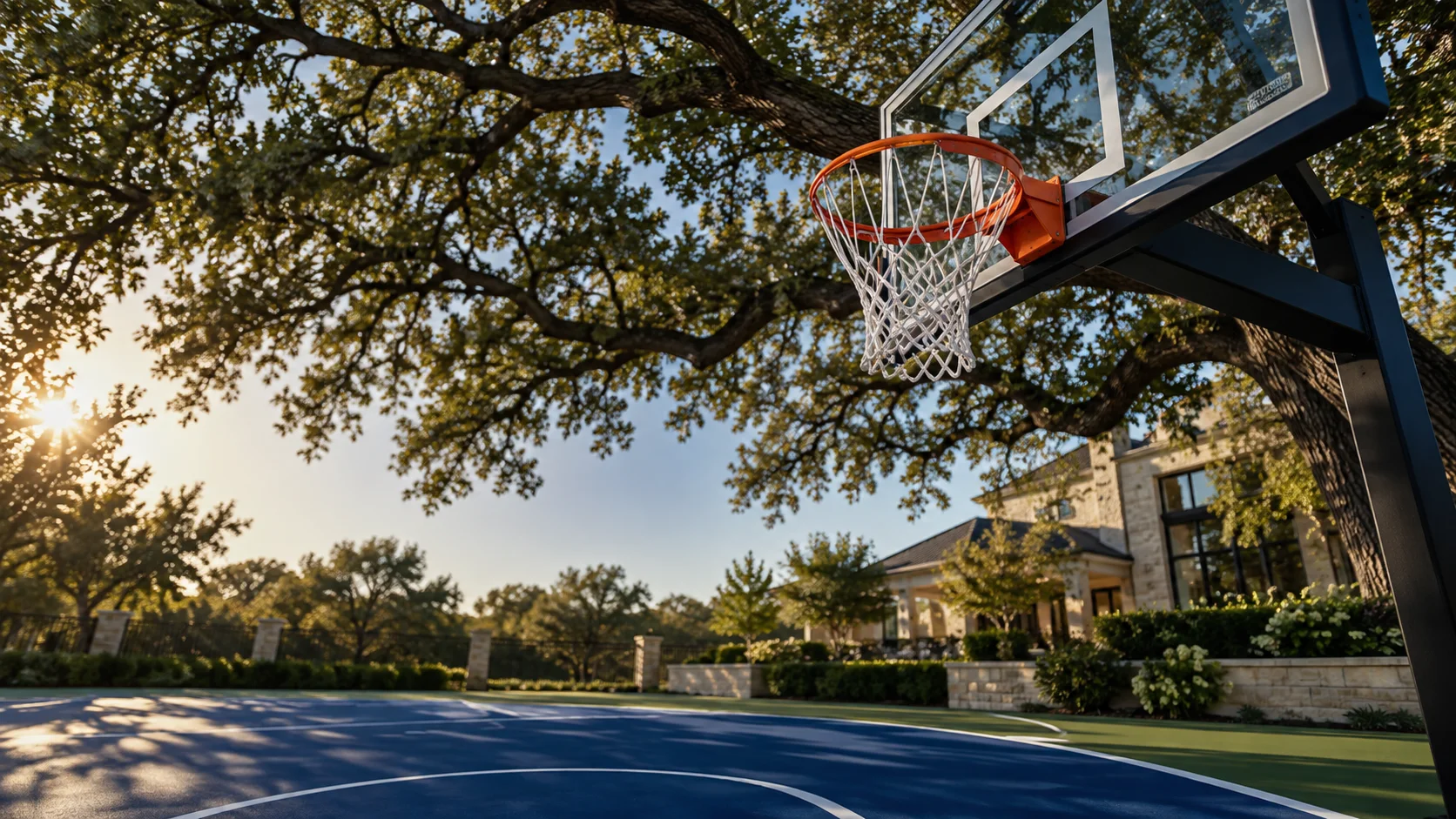 Basketball hoop framed by a North Texas live oak canopy